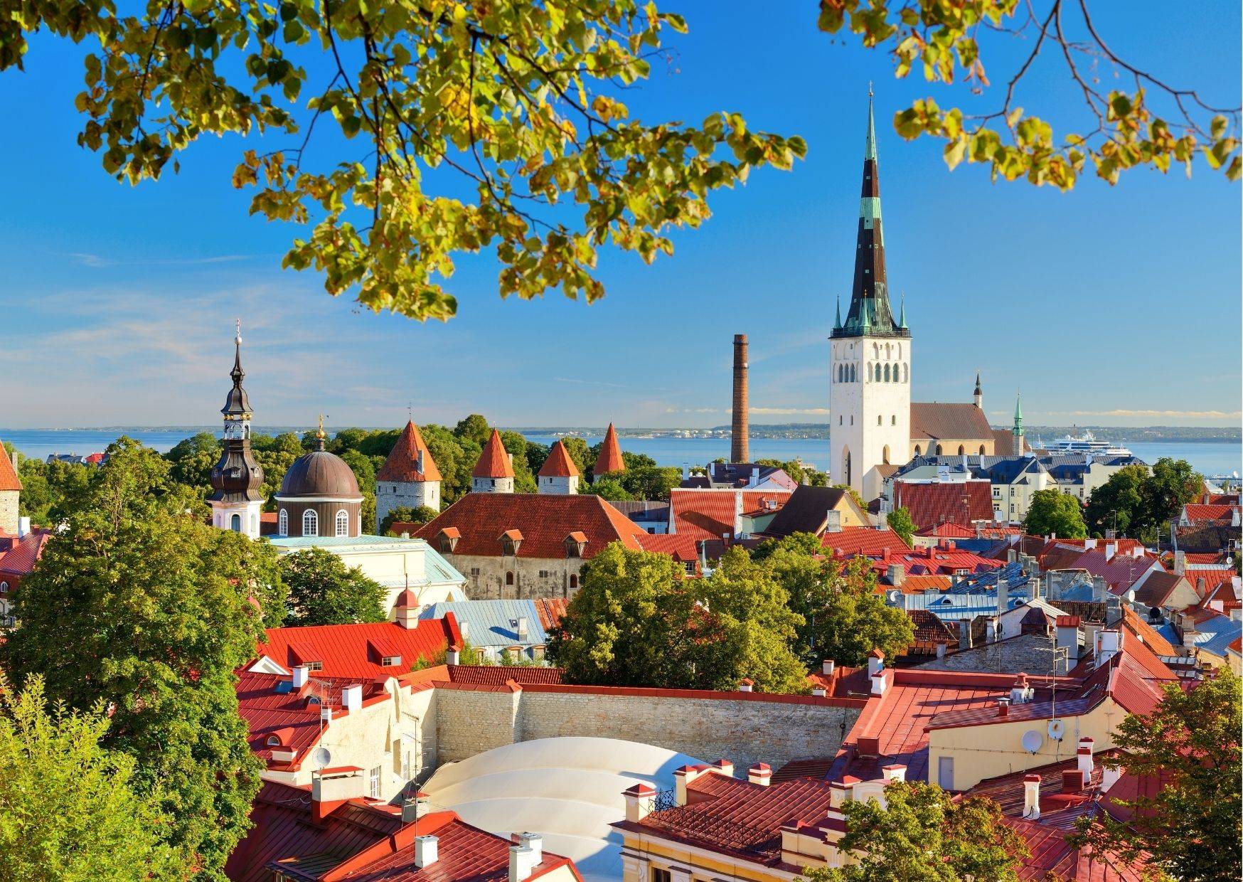Backpage Tallinn
