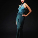 Максим Шмелев